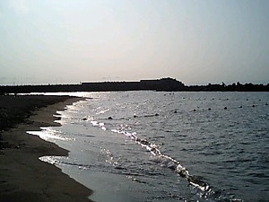 080806_1702~0001.jpgのサムネール画像